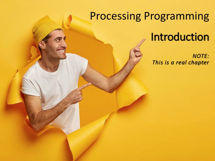 Processing Programming