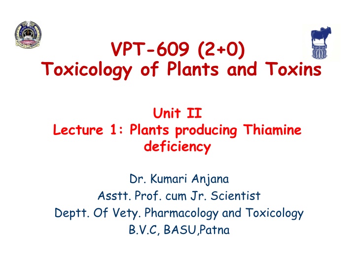 Plants Producing Thiamine Deficiency in Livestock