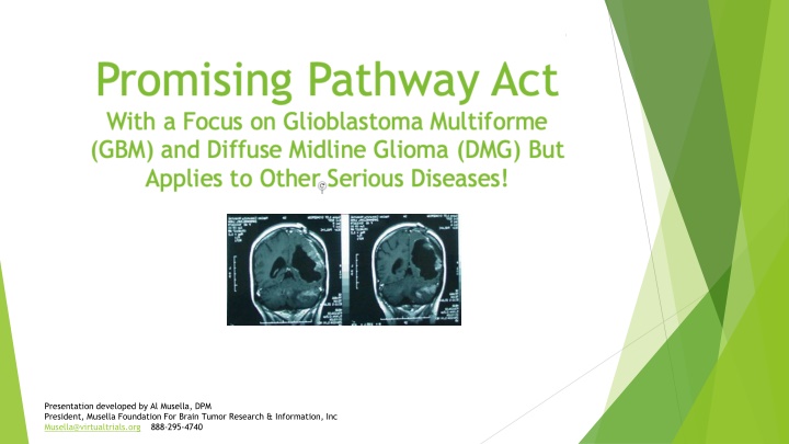 Challenges and Regulatory Limitations in Treating Brain Tumors