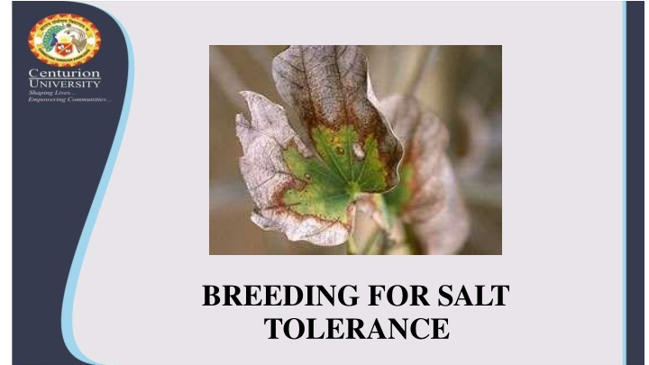 Breeding for Salt Tolerance in Plants