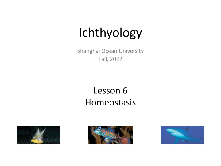 Fish Homeostasis: Lesson 6 Insights