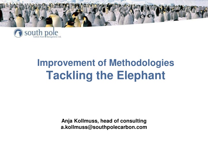 Improvement of Methodologies for Tackling the Elephant