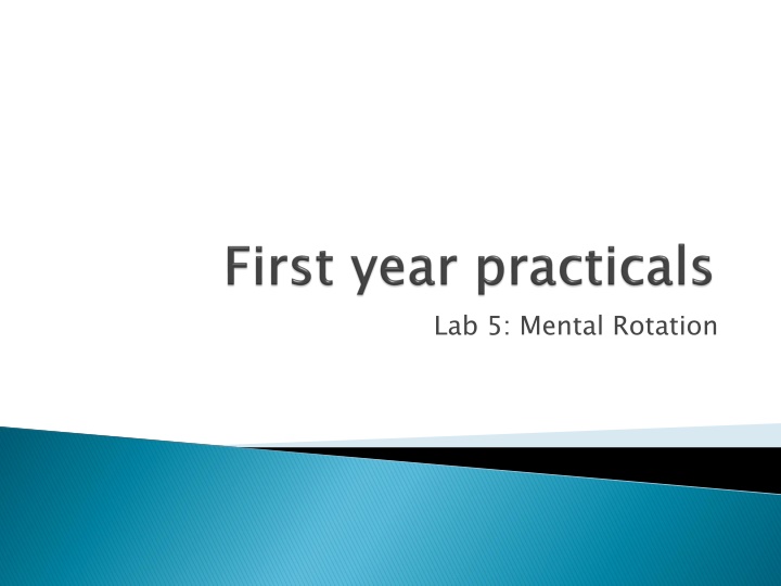 Mental Rotation and Dual Coding Theories