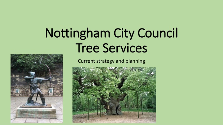 Nottingham City Council Tree Services Strategy and Urban Forest Planning