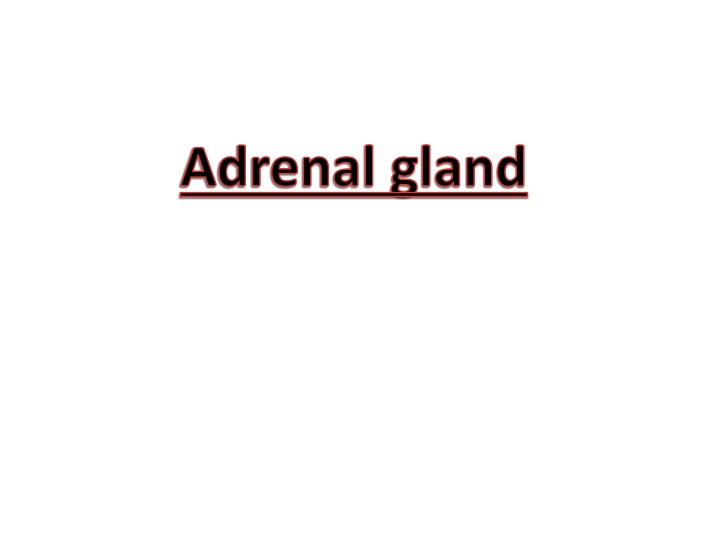 Adrenal gland