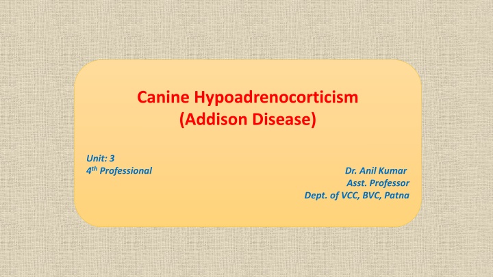 Canine Hypoadrenocorticism