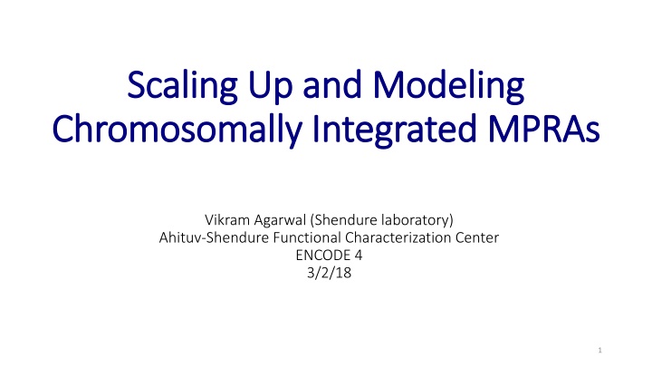 Scaling Up and Modeling Integrated MPRAs
