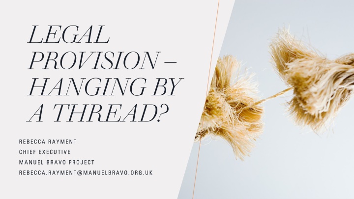 Legal Provision Hanging by a Thread? Executives and Manuel Bravo Project