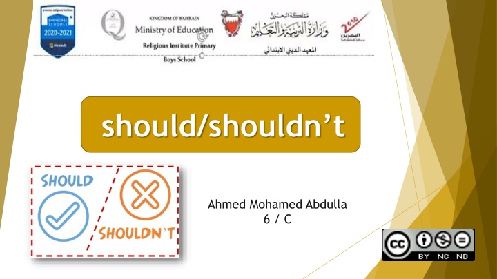 Using Should and Shouldn't for Giving Advice