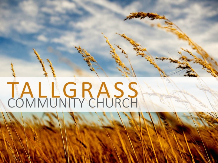 Community Church Tallgrass Celebrations & Baptisms Overview