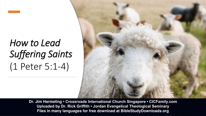 Leading Suffering Saints - Biblical Insights