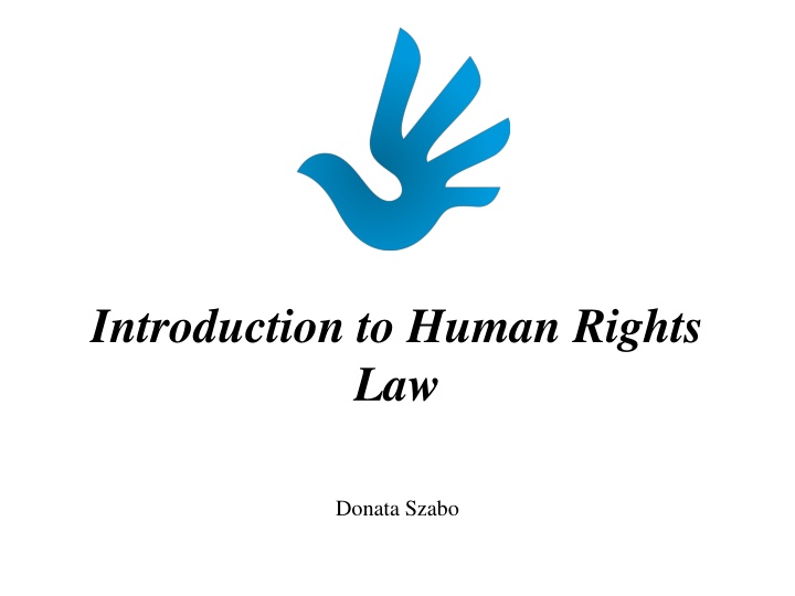 Overview of Human Rights Law and Conventions