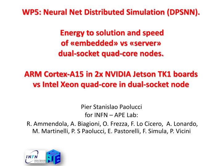 Neural Net Distributed Simulation: Energy and Speed of Embedded vs Server Nodes