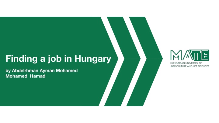 Finding a job in Hungary