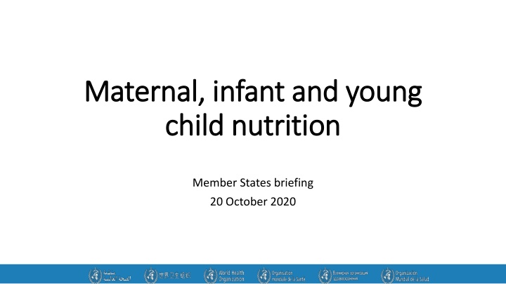 Maternal and Infant Nutrition Briefing at Member States