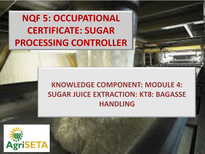 Sugar Processing: Bagasse Utilization Overview