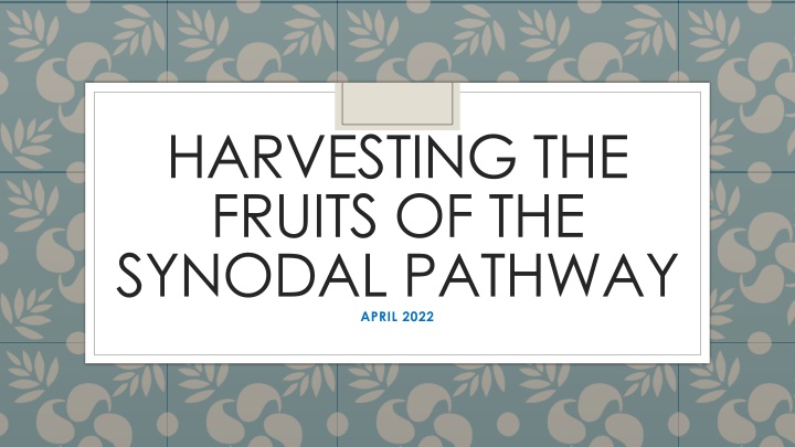 Synodal Pathway Overview