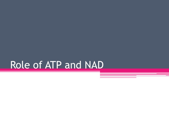 Role of ATP and NAD in Cellular Energy Transfer