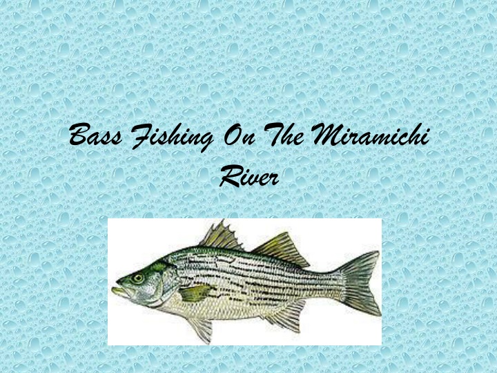Bass Fishing on the Miramichi River Captured in Stunning Images