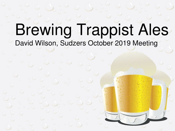 Trappist and Belgian Ales