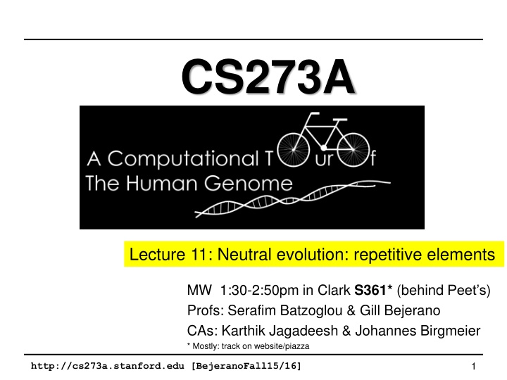 Neutral Evolution and Repetitive Elements: Functional Genome Insights