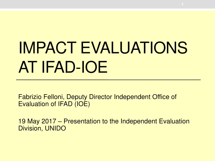 Impact Evaluations at IFAD-IOE: Fabrizio Felloni, Deputy Director