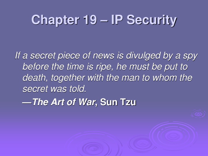 IP Security Mechanisms for Network Protection