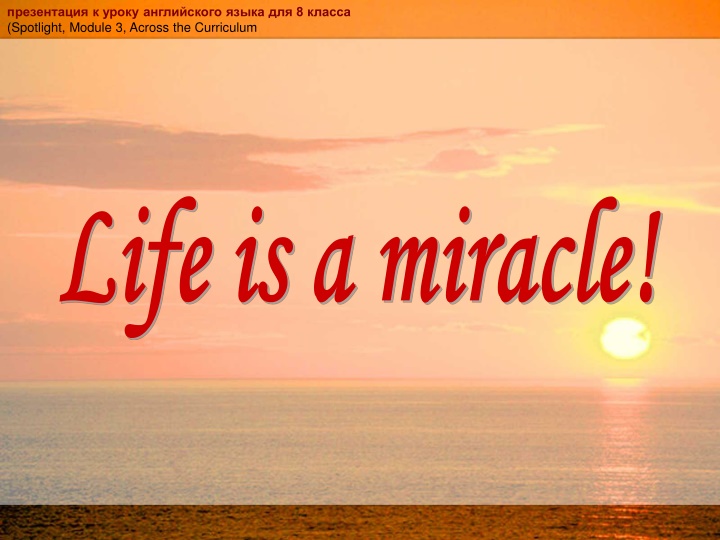 Life's Miracles: Albert Einstein's Perspective