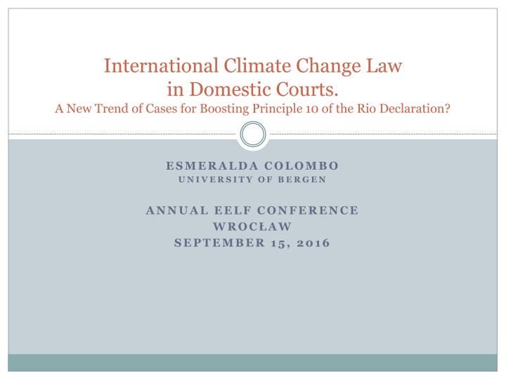 International Climate Change Law in Domestic Courts.