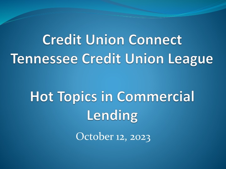 IBS Overview: Commercial Loan Risks and Growth
