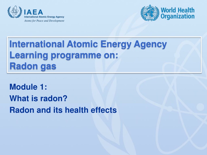 Radon Gas and its Health Effects