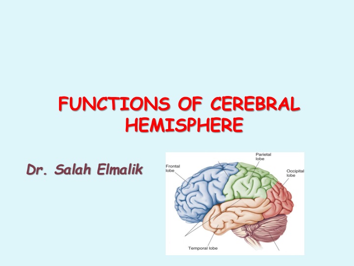 Functions of Cerebral Hemisphere and Cortex