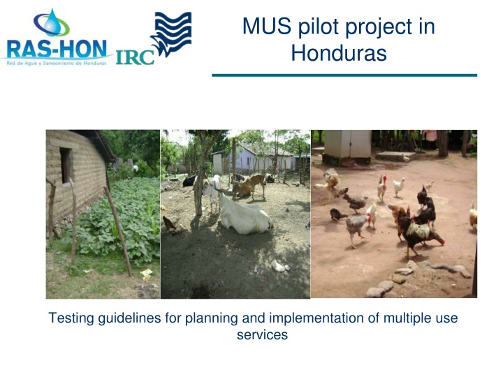 Testing Guidelines for MUS Pilot Project in Honduras