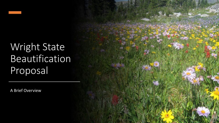 Wright State Campus Beautification Proposal