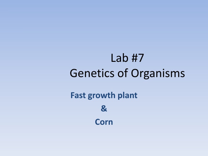 Genetics of Organisms: Fast Growth Plant & Corn Analysis