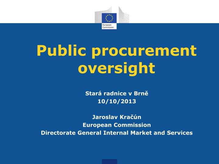 Oversight and Review Procedures in Public Procurement