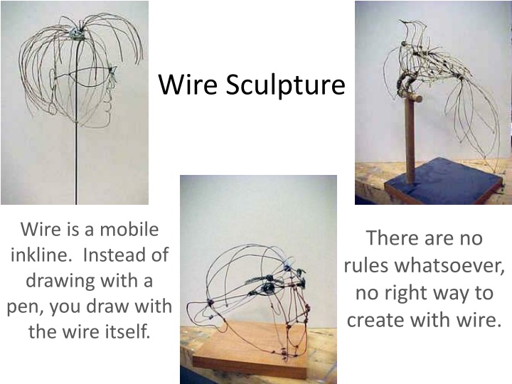 Wire Sculpture Exploration