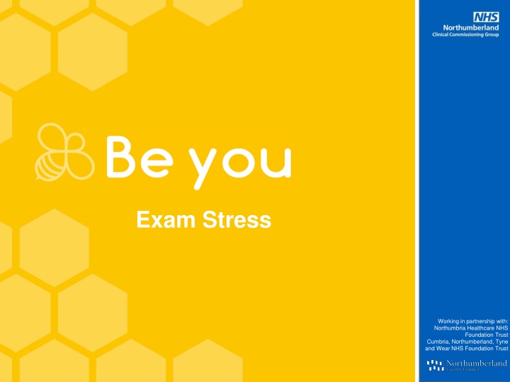 Exam Stress: Understanding and Coping Strategies