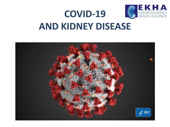 COVID-19 and Kidney Disease Illustration