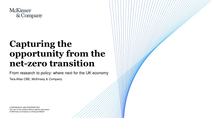 Capturing the opportunity from the net-zero transition