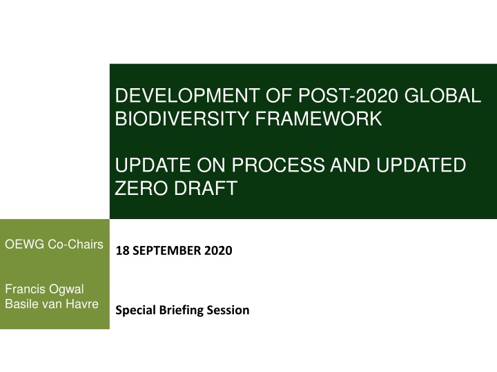 Development of Post-2020 Global Biodiversity Framework Update