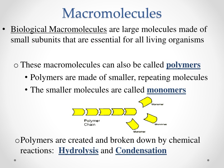 Essential Macromolecules in Living Organisms