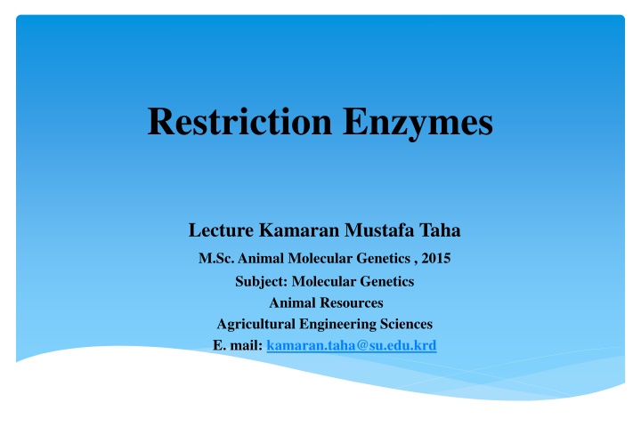 Restriction Enzymes Lecture by Kamaran Mustafa Taha M.Sc., Animal Molecular Genetics