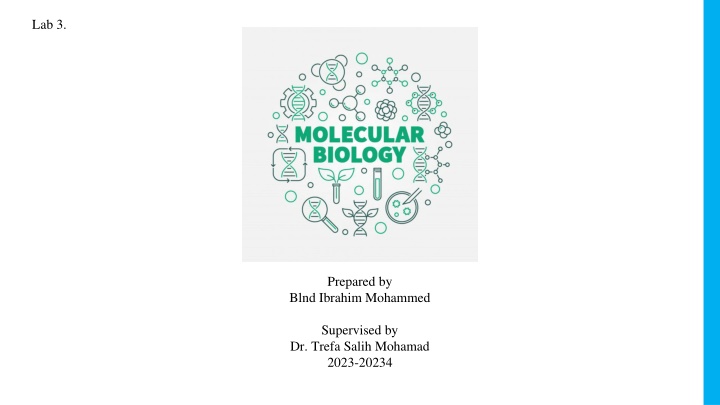 Lab Report by Ibrahim Mohammed: Supervised by Dr. Trefa Salih