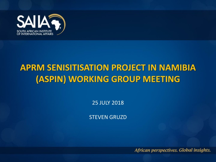 ASPIN Working Group Meeting on Namibian APRM Project