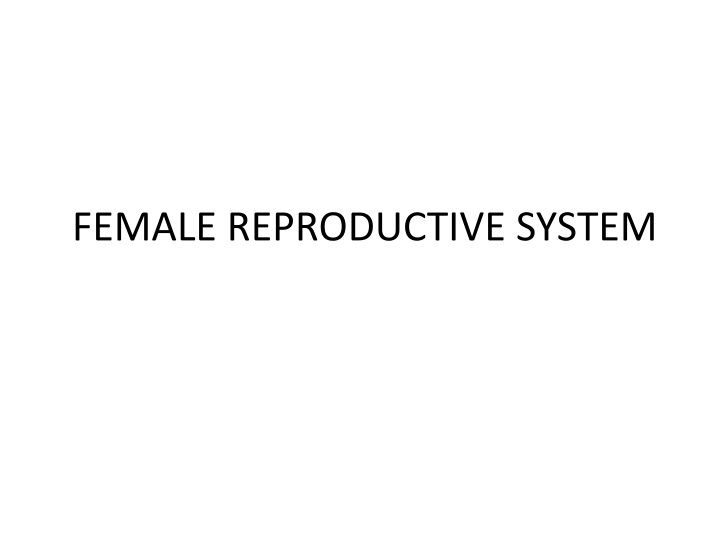 Female Reproductive System Overview: Ovaries to Uterine Tubes