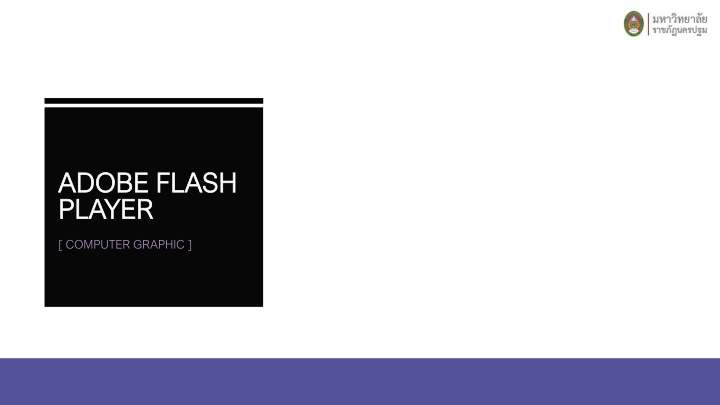 Adobe Flash Player