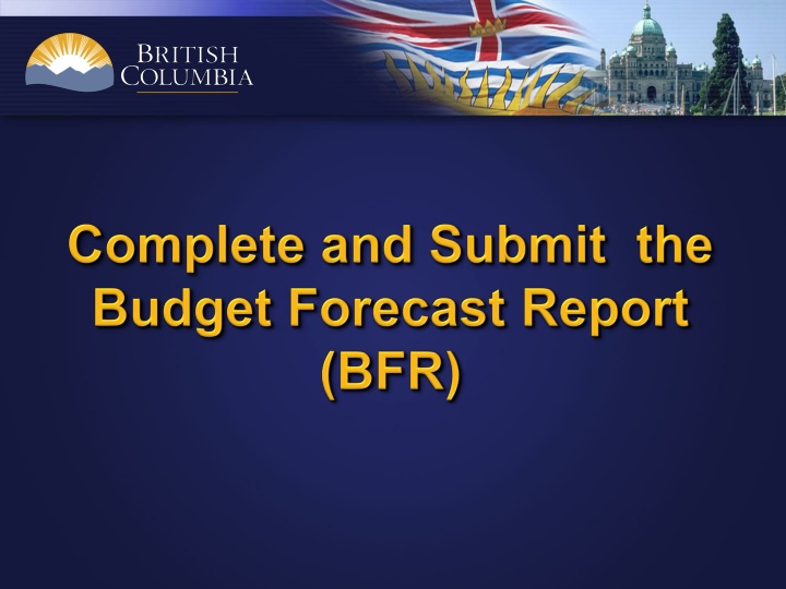 New BFR Report Summary Page Review