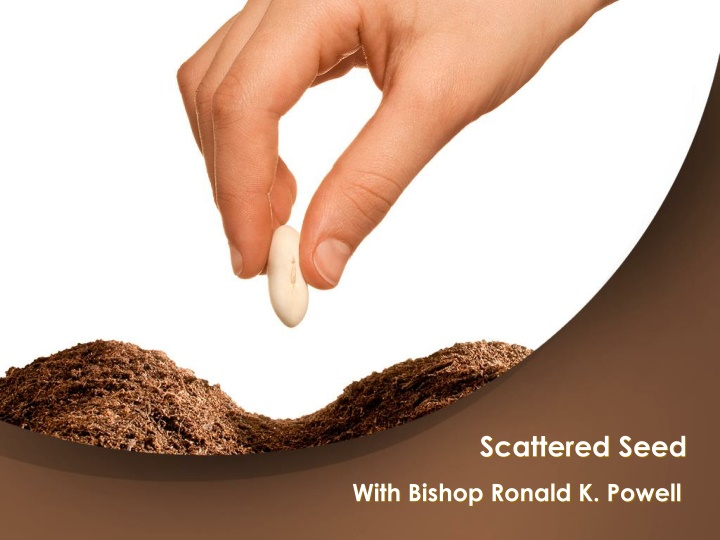 Insights on Sowing Seeds and Growth