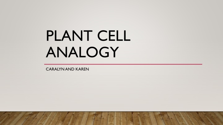 PLANT CELL ANALOGY